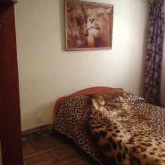 Гостиница Fortuna Inn в Перми 2 отзыва об отеле, цены и фото номеров - забронировать гостиницу Fortuna Inn онлайн Пермь интерьер отеля фото 2