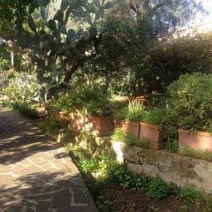 Отель Il Giardino Di Silvia Италия, Палермо - отзывы, цены и фото номеров - забронировать отель Il Giardino Di Silvia онлайн фото 7