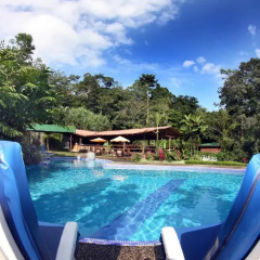 Отель Chachagua Rainforest Ecolodge бассейн фото 2