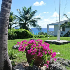 Отель Stella Maris Resort Club фото 5