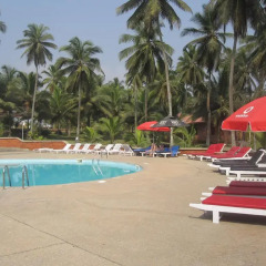 Отель Coconut Grove Beach Resort 2* Стандартный номер с различными типами кроватей