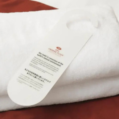 Отель ANA Crowne Plaza Narita 4* Стандартный номер с различными типами кроватей фото 8