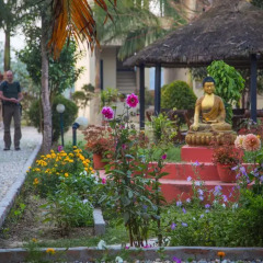 Отель Chitwan Adventure Resort Непал, Саураха - отзывы, цены и фото номеров - забронировать отель Chitwan Adventure Resort онлайн фото 6