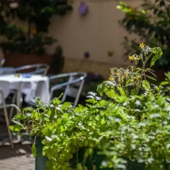 Отель Boutique Hotel Donauwalzer Австрия, Вена - 7 отзывов об отеле, цены и фото номеров - забронировать отель Boutique Hotel Donauwalzer онлайн фото 9