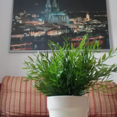 Апартаменты Apartment Messe Herler Кёльн балкон