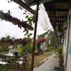 Отель Peace Guest House Pokhara Непал, Покхара - отзывы, цены и фото номеров - забронировать отель Peace Guest House Pokhara онлайн
