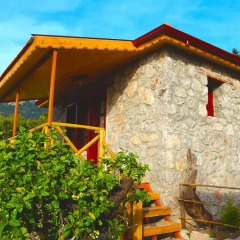Faralya Yoruk Evi Hotel Стандартный номер с различными типами кроватей фото 11