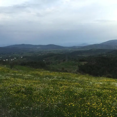 Отель Gokpinar Country Home Торба фото 6