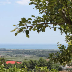 Отель Agriturismo La Collinetta Нова-Сири пляж фото 2