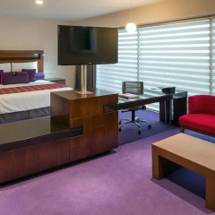Отель Camino Real Pedregal 4* Полулюкс фото 7