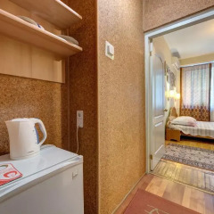 Гостиница Александрия 3* Стандартный номер с разными типами кроватей фото 24