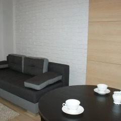 Апартаменты MNH Apartments Siedmiogrodzka Апартаменты с различными типами кроватей фото 4