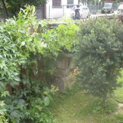 Отель Pokoje Goscinne Na Stromej Закопане фото 22