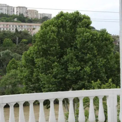 Tetri Sakhli Hotel Люкс с различными типами кроватей фото 7