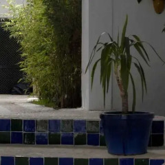 Отель Casablanca Испания, Вехер-де-ла-Фронтера - отзывы, цены и фото номеров - забронировать отель Casablanca онлайн фото 2