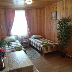 Гостиница Guest House Berezka в Тихвине отзывы, цены и фото номеров - забронировать гостиницу Guest House Berezka онлайн Тихвин бассейн фото 2