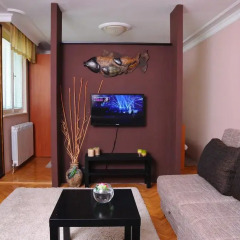 Апартаменты Apartment Sweet House Belgrade комната для гостей фото 2