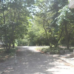 Отель Bungalows Kamena Сандански фото 3