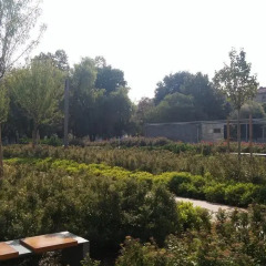 Отель Bed and Breakfast Mestrina балкон