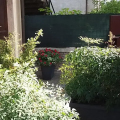 Отель I Tigli Guest House Пьяченца фото 2