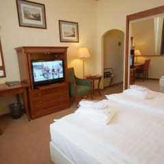 Spa Hotel Anglicky Dvur удобства в номере