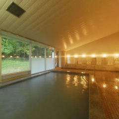 Okunikko Kogen Hotel Никко бассейн фото 2