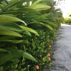 Отель Naka Condon Phuket By Kitty Пхукет фото 2