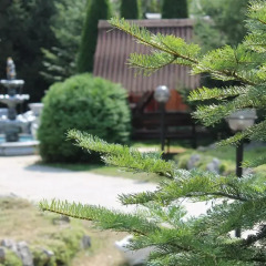 Гостиница Zakarpattya