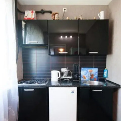 Апартаменты Gagarina Street Apartment в номере фото 2