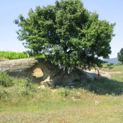 Отель Yagnevo Complex Ардино