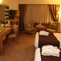 Surmeli Ankara Hotel 5* Стандартный номер разные типы кроватей фото 13