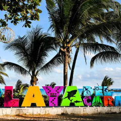 Отель International House Riviera Maya Мексика, Плая-дель-Кармен - отзывы, цены и фото номеров - забронировать отель International House Riviera Maya онлайн пляж