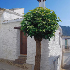 Отель Casa El Rincón del Ángel Коттедж с различными типами кроватей фото 21