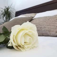 Отель Villa Margarita Bay Кипр, Протарас - отзывы, цены и фото номеров - забронировать отель Villa Margarita Bay онлайн удобства в номере