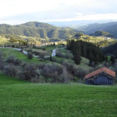 Отель Guest House Elitsa Болгария, Чепеларе - отзывы, цены и фото номеров - забронировать отель Guest House Elitsa онлайн фото 13