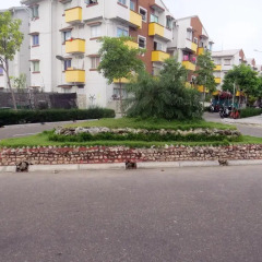 Отель Coral Queen Inn Мале фото 8