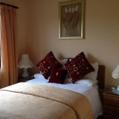 Отель Bunratty Villa B&B комната для гостей фото 5