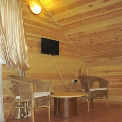 Mini-hotel u Babolovskogo Parka Номер Делюкс с различными типами кроватей фото 4