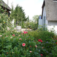 Отель Cornucopia Cottage Коттедж с различными типами кроватей фото 18