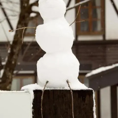 Отель Hakuba House Хакуба интерьер отеля