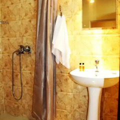 Отель Тифлис 3* Номер Эконом с различными типами кроватей фото 7