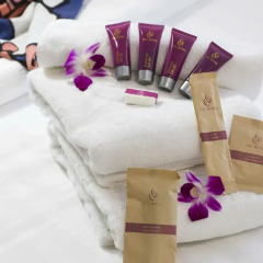 TTC Hotel Deluxe Saigon 3* Номер Делюкс с различными типами кроватей фото 3
