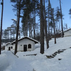 Отель Complex Brashlyan 2* Бунгало фото 29