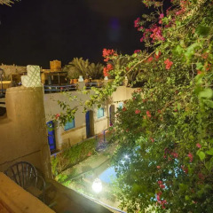 Отель La petite kasbah Марокко, Загора - отзывы, цены и фото номеров - забронировать отель La petite kasbah онлайн фото 5
