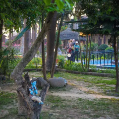 Отель Chitwan Adventure Resort Непал, Саураха - отзывы, цены и фото номеров - забронировать отель Chitwan Adventure Resort онлайн детские мероприятия фото 2