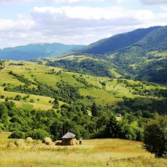 База отдыха Камянка фото 6