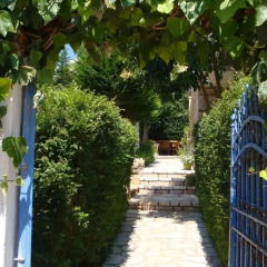 Отель Villa M Cako Албания, Ксамил - отзывы, цены и фото номеров - забронировать отель Villa M Cako онлайн фото 9