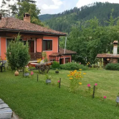 Отель Mechta Guest House 2* Стандартный номер с различными типами кроватей фото 7