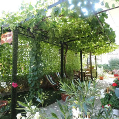 Отель Guest House Bakish Obzor Болгария, Аврен - отзывы, цены и фото номеров - забронировать отель Guest House Bakish Obzor онлайн фото 3