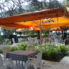 Отель Riza Hotel Албания, Тирана - отзывы, цены и фото номеров - забронировать отель Riza Hotel онлайн питание